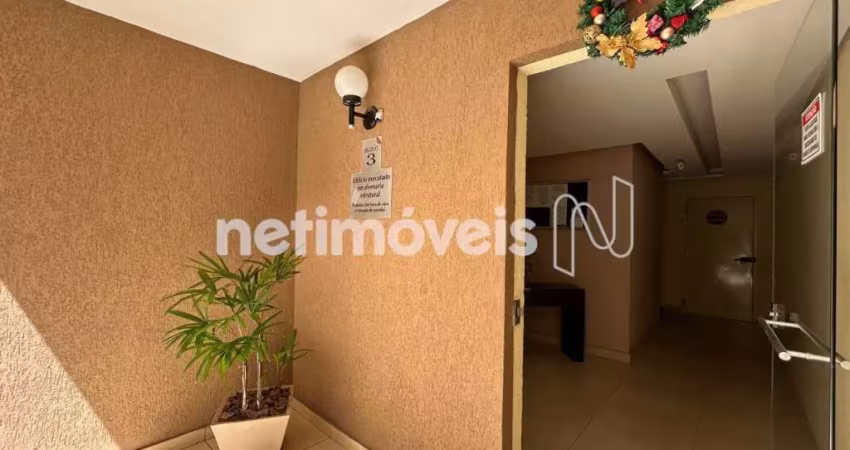 Venda Apartamento 3 quartos Planalto Belo Horizonte