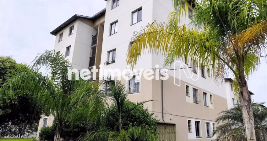 Venda Apartamento 2 quartos Paulo Vi Belo Horizonte
