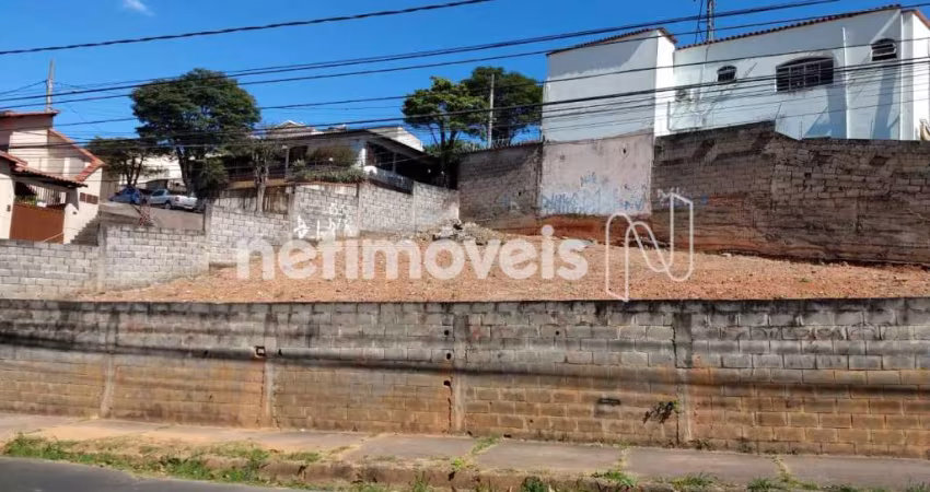 Venda Lote-Área-Terreno Santa Amélia Belo Horizonte