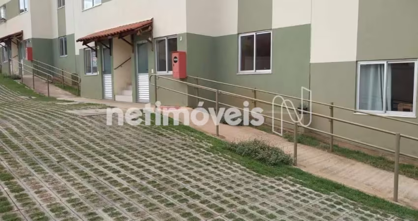 Venda Área Privativa Cândida Ferreira Contagem