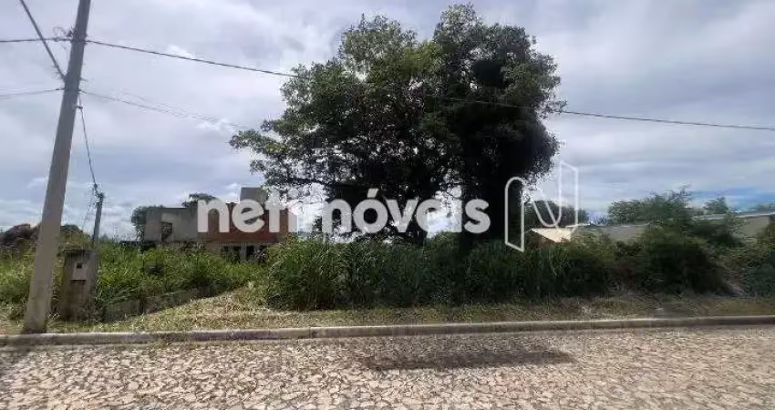 Venda lote em condomínio jardim imperial vespasiano