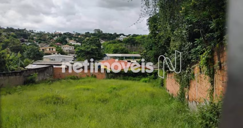 Venda Lote-Área-Terreno Copacabana Belo Horizonte