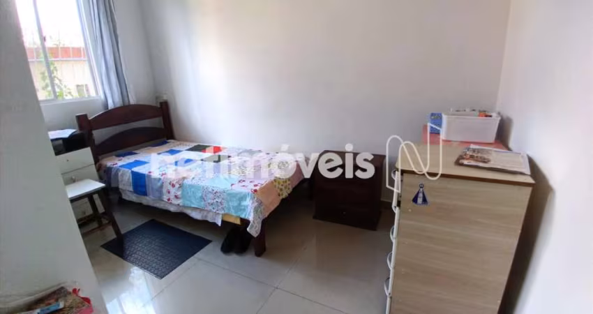 Venda Apartamento 3 quartos Planalto Belo Horizonte