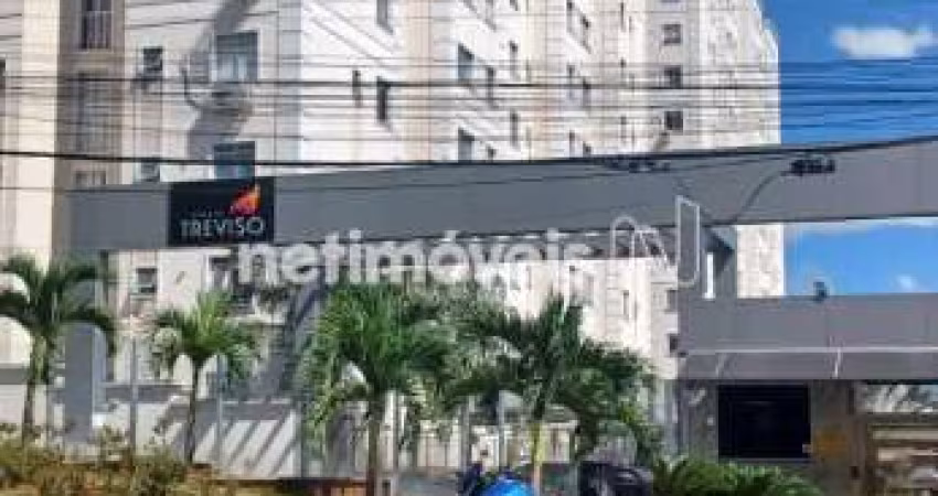 Venda Apartamento 2 quartos Castelo Belo Horizonte