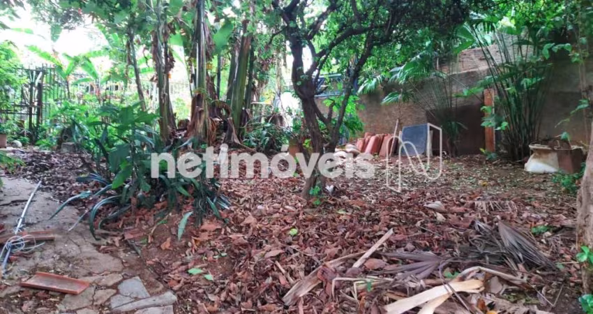 Venda Lote-Área-Terreno Santa Branca Belo Horizonte