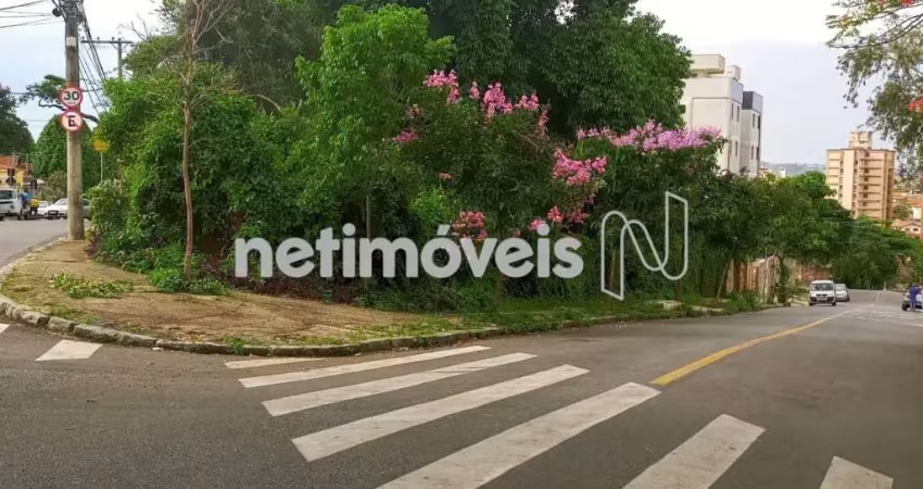 Venda lote-área-terreno santa branca belo horizonte