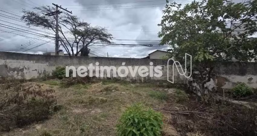 Venda Lote-Área-Terreno Santa Efigênia Belo Horizonte