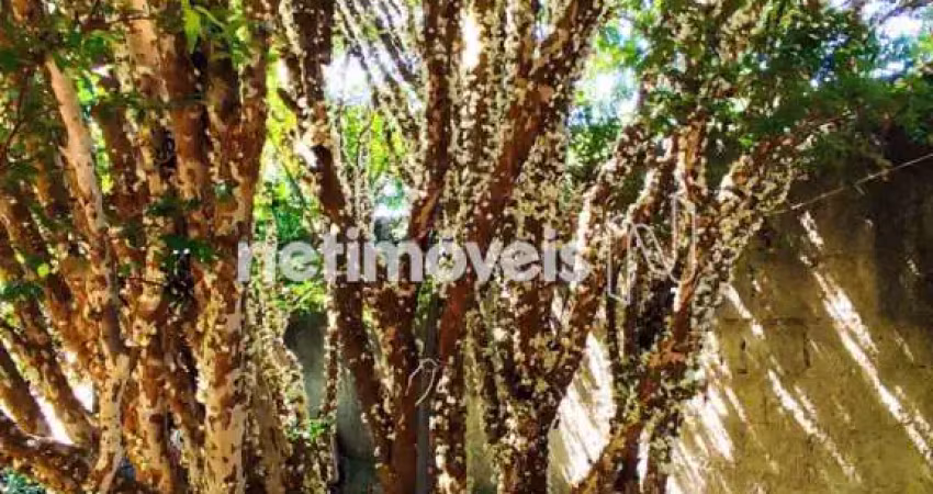 Casa com 2 quartos à venda na Rua São Francisco, Tavares de Minas, Pará de Minas