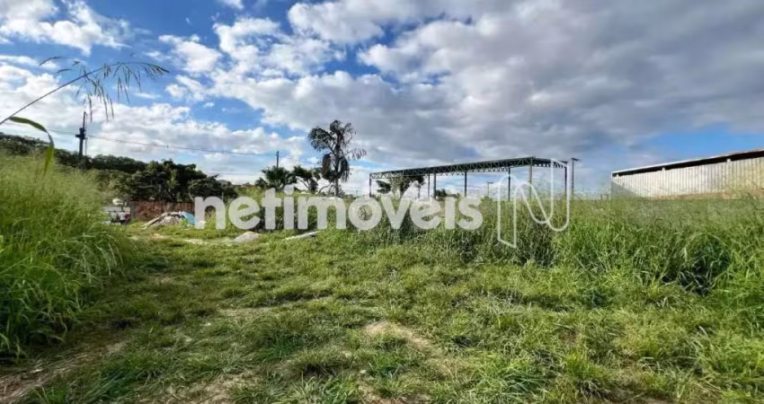 Venda Lote-Área-Terreno Bandeirantes (pampulha) Belo Horizonte