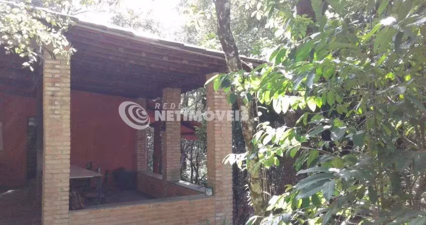 Chácara / sítio com 3 quartos à venda na Rua Chácara, Quinta das Palmeiras, Pedro Leopoldo