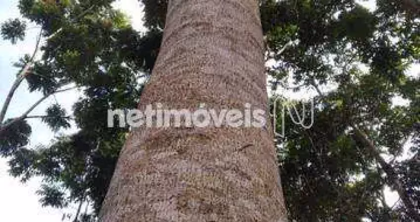 Sítio na zona da mata mineira de aproximadamente 15 hectares.