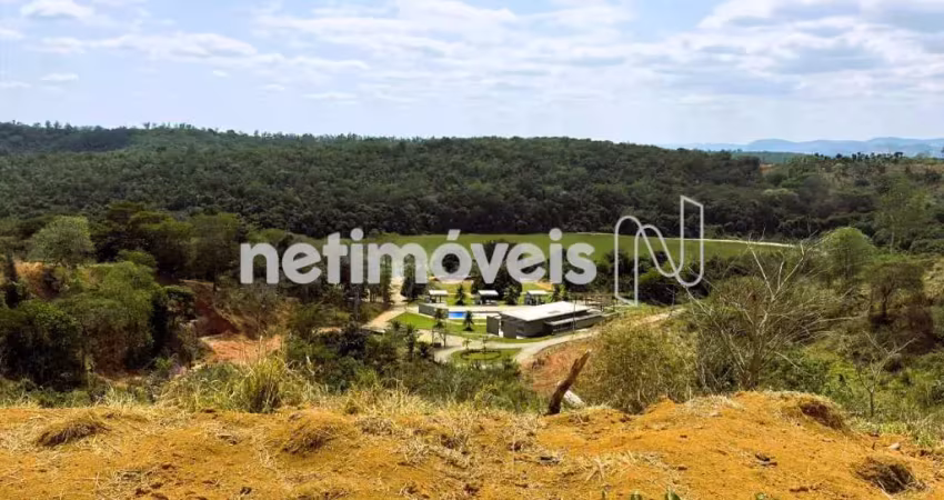Olhando tudo em um só lugar e ter confiança e segurança jurídica de uma tradicional imobiliária
