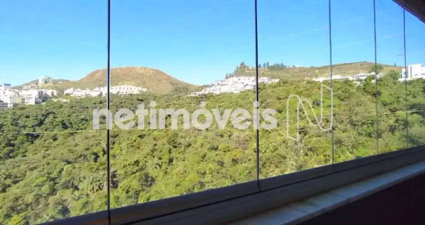 Apartamento com 4 quartos à venda na Rua Pedro Natalício de Morais, Buritis, Belo Horizonte
