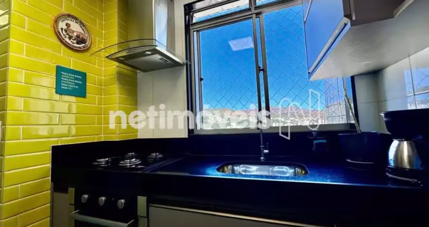 Apartamento com 2 quartos à venda na Rua Tereza Mota Valadares, Buritis, Belo Horizonte