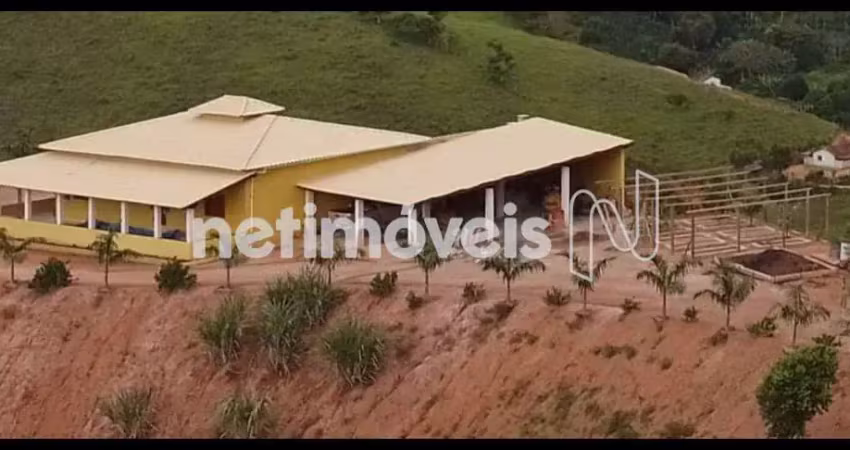 Chácara / sítio com 4 quartos à venda na Fazenda Barra Grande ou Palmital, Bicuíba, Raul Soares