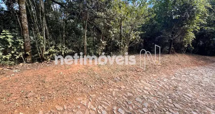 Terreno comercial à venda na Rua Doutor Pedro Ludovico Teixeira, Jardinaves, Nova Lima
