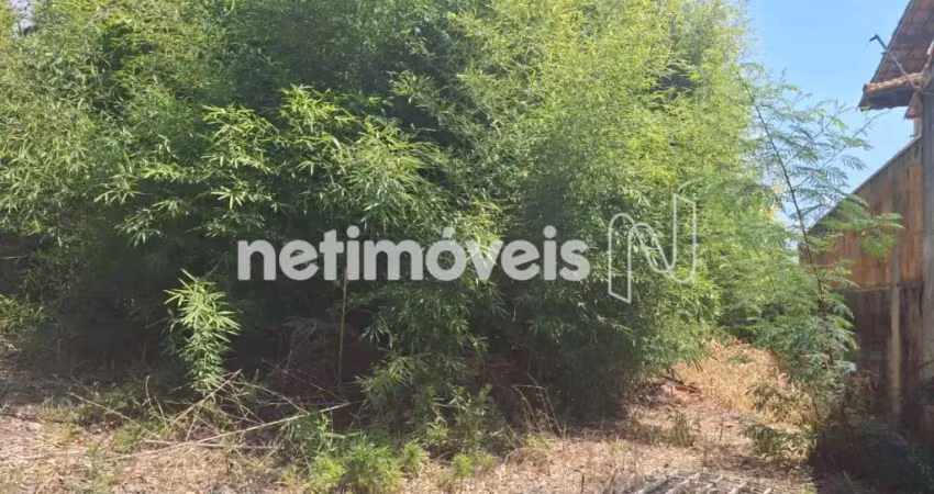 Terreno comercial à venda na Rua Nísio Batista de Oliveira, São Lucas, Belo Horizonte