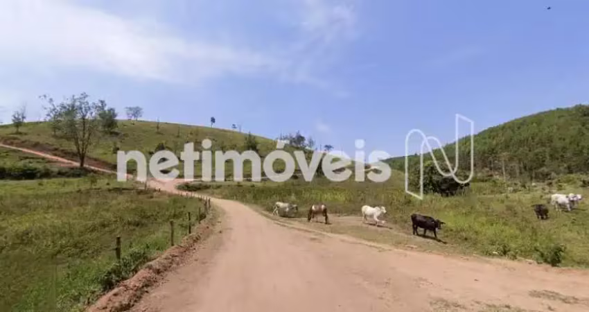 Chácara / sítio com 2 quartos à venda na Rua Distrito de Queixada, Queixada, Novo Cruzeiro