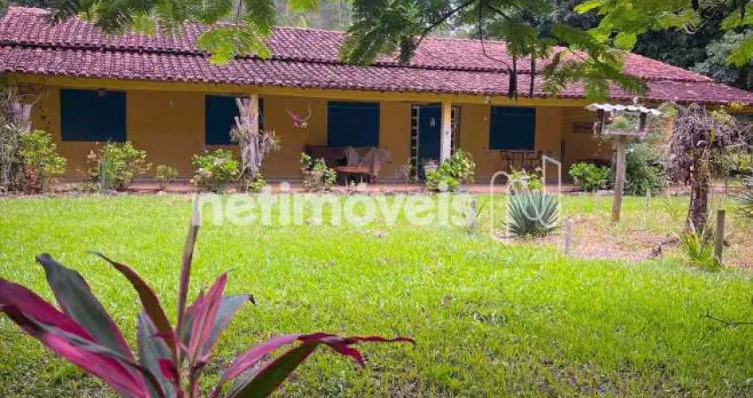 Chácara / sítio com 5 quartos à venda na Fazenda Fortaleza 1, Zona Rural, Pedra do Anta