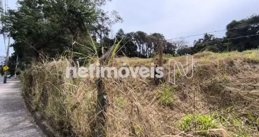 Terreno comercial à venda na Avenida Otacílio Negrão de Lima, Garças, Belo Horizonte