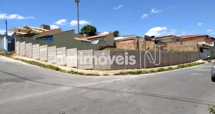 Terreno comercial à venda na Rua Maracá, Novo Horizonte, Betim