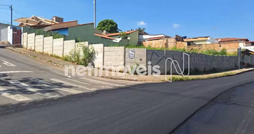 Terreno comercial à venda na Rua Maracá, Novo Horizonte, Betim