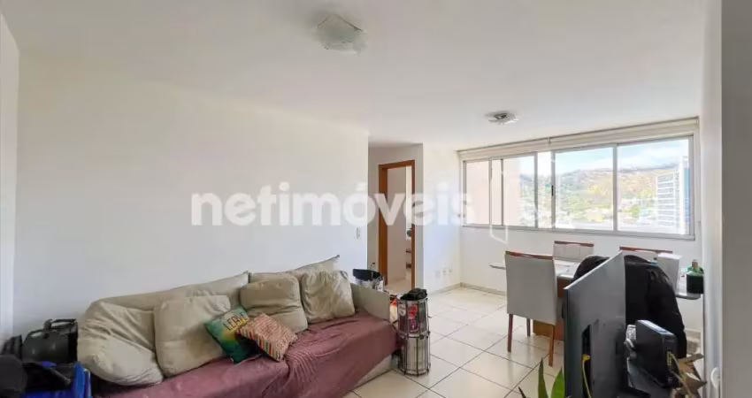 Apartamento com 2 quartos à venda na Avenida Altamiro Avelino Soares, Castelo, Belo Horizonte