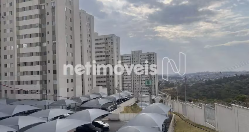 Venda apartamento 2 quartos palmeiras belo horizonte