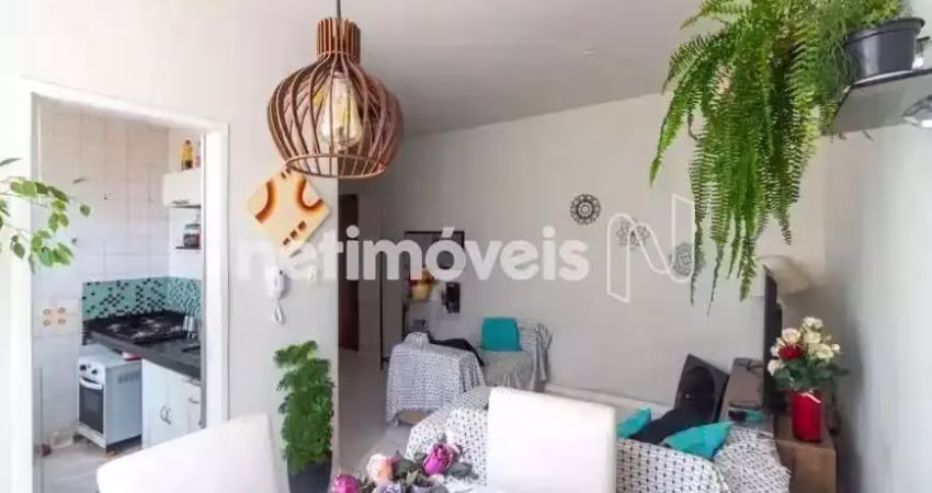 Venda apartamento 2 quartos santa efigênia belo horizonte
