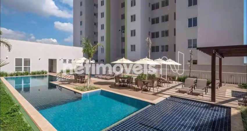Venda apartamento 2 quartos palmeiras belo horizonte