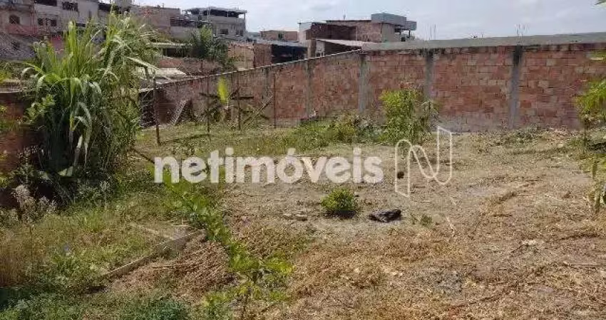 Terreno comercial à venda na Rua Santa Maria Madalena, Ouro Minas, Belo Horizonte