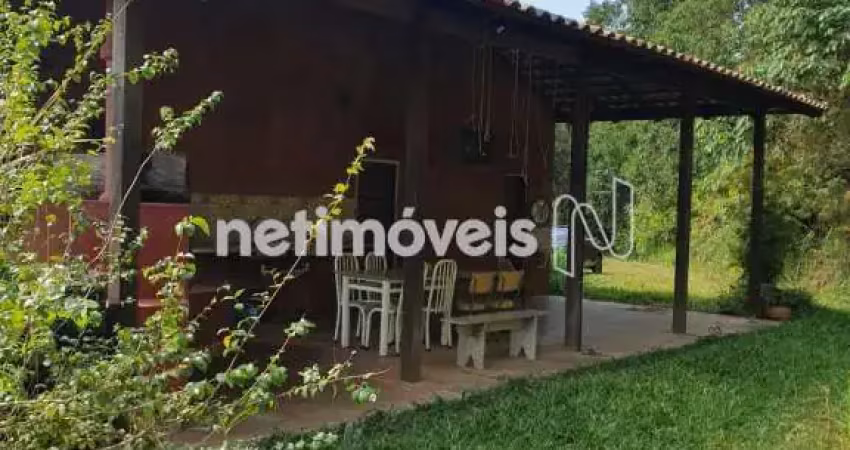 Cota em agrofloresta em souza, rio manso, 64.000 m²; com nascente, floresta produtiva e vida natural.
