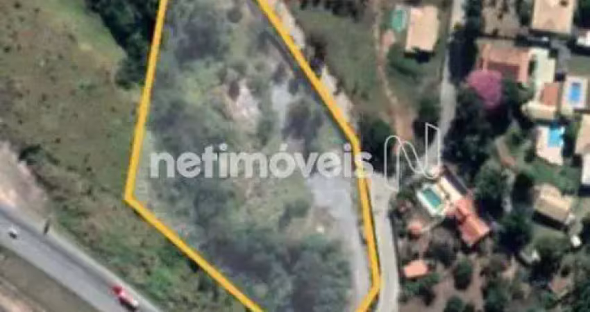 Terreno comercial para alugar na Rua Vinte A, Veneza, Ribeirão das Neves