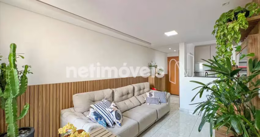 Apartamento com 2 quartos para alugar na Avenida Miguel Perrela, Castelo, Belo Horizonte