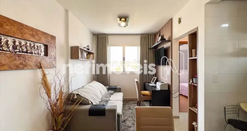 Apartamento de 1 quarto, espaçoso, em uma região privilegiada do dona clara.
