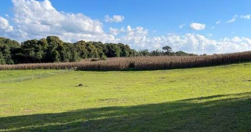 Terreno à venda no Lageado, Campo Alegre 