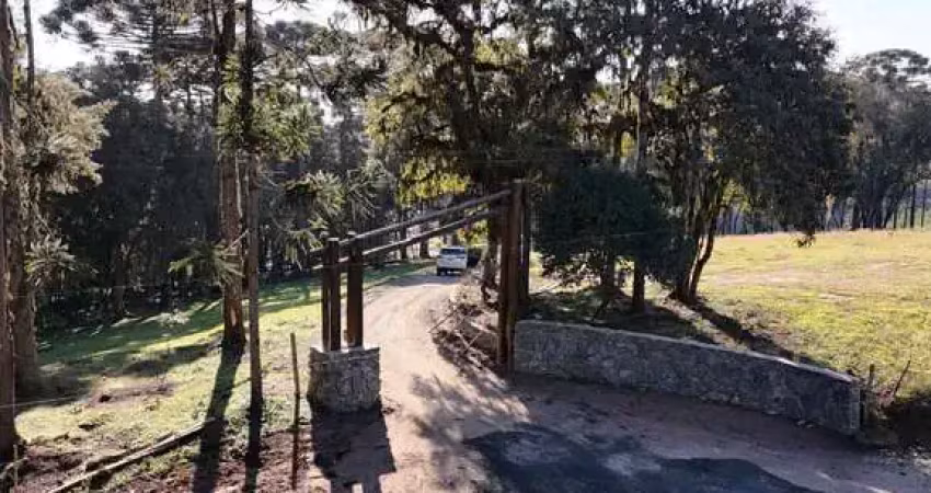 Terreno à venda no Bateias de Cima, Campo Alegre 