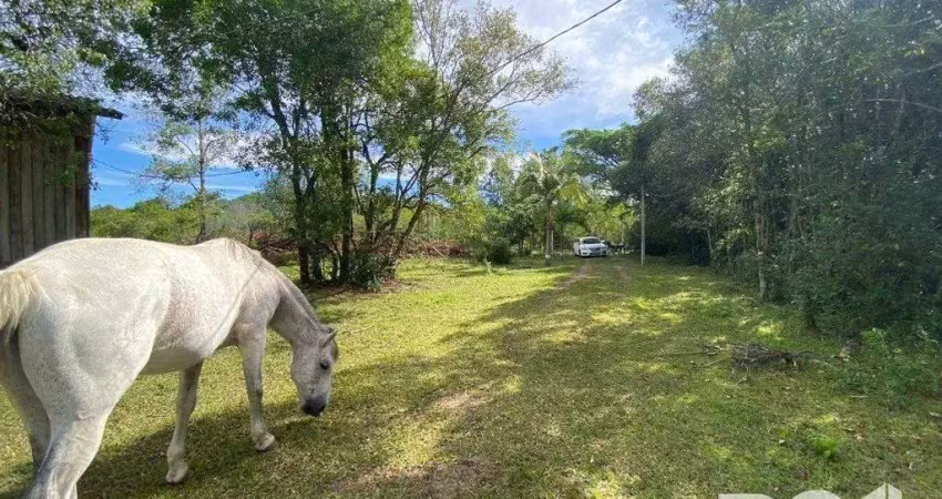 Sítio 1 dormitórios à venda boa vista do sul porto alegre/rs