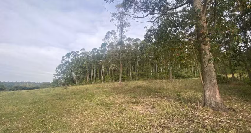 Chácara / sítio com 1 quarto à venda na Beco Do Capitão, --, Centro, Viamão