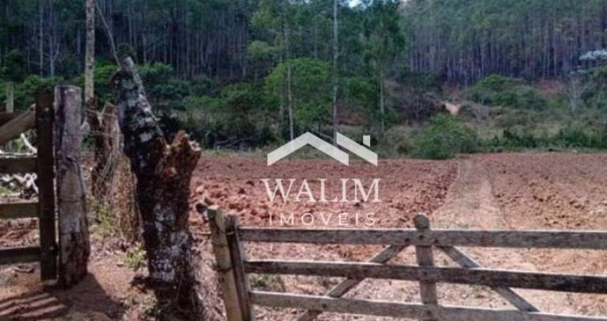 Fazenda à Venda na Zona Rural de Barbacena, MG  Ideal para Produção de Eucalipto e Criação de Gado!