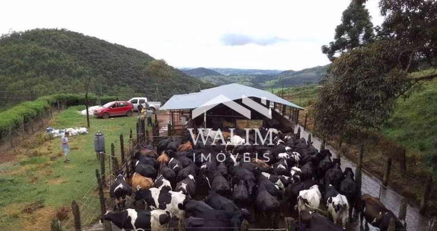 **FAZENDA DE EXCELÊNCIA EM ANTONIO CARLOS, MG – 214 HECTARES DE PRODUÇÃO E RIQUEZA NATURAL!**