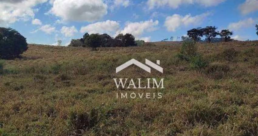 Terreno Fértil em Piedade dos Gerais: Sua Chance de Investir no Agronegócio Mineiro!