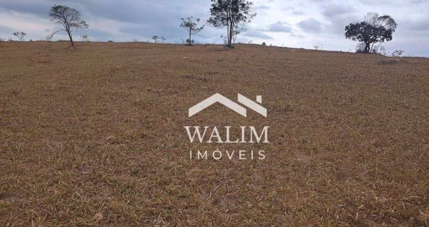 Terreno Rural de 27 ha em Piedade das Gerais, MG – Excelente Oportunidade!