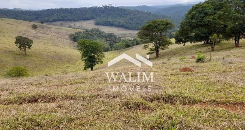 Terreno Rural em Itaverava, MG - 264 Hectares com Ótima Topografia