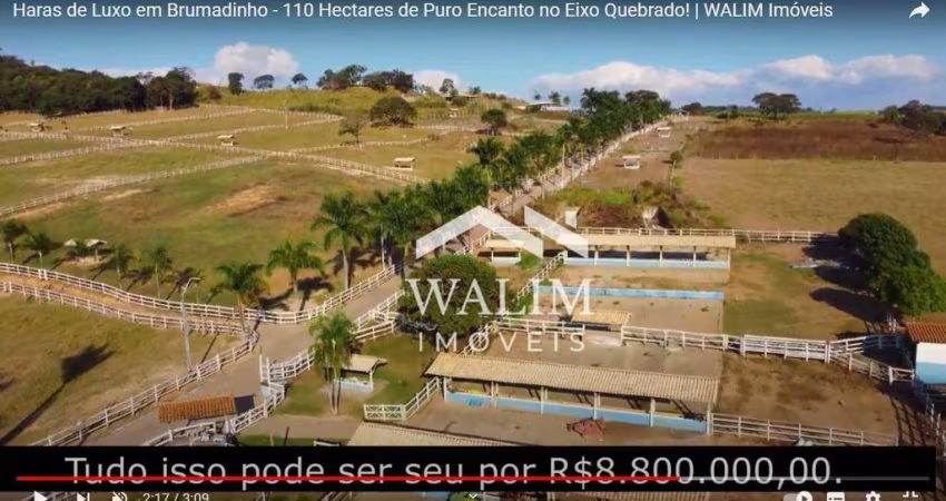 ?? Oportunidade Única: Fazenda Haras de 110 Hectares em Brumadinho, MG! ??