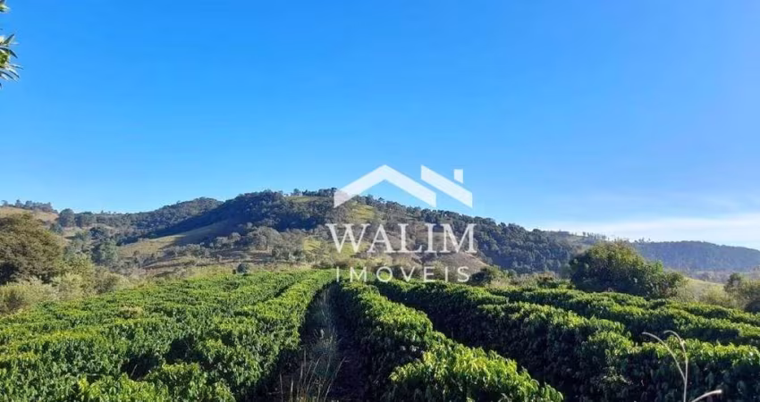 'Fazenda de 55 Hectares à Venda em Carmópolis de Minas: Oportunidade de Investimento no Polo Agrícola de Tomate em Minas Gerais'