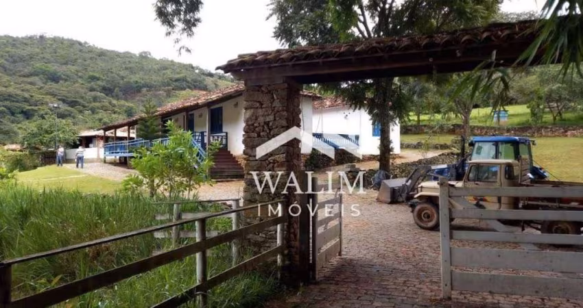 Fazenda de 138 Hectares em Carmópolis de Minas: Oportunidade Perfeita para uma Vida Tranquila e Próspera!