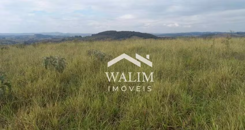 ?? fazenda de 96 hectares à venda | beira rio – ideal para café e criação de gado!