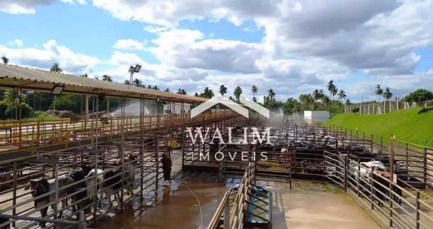 Frigorífico industrial completo – bovino 65.568 m² – alta capacidade de abate e exportação internacional