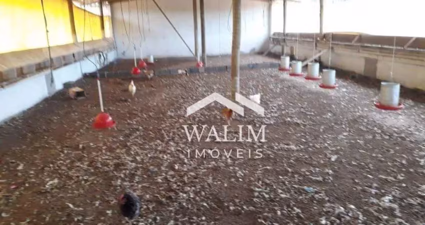 Fazenda com 1 sala à venda na Zona Rural, Passa Tempo 